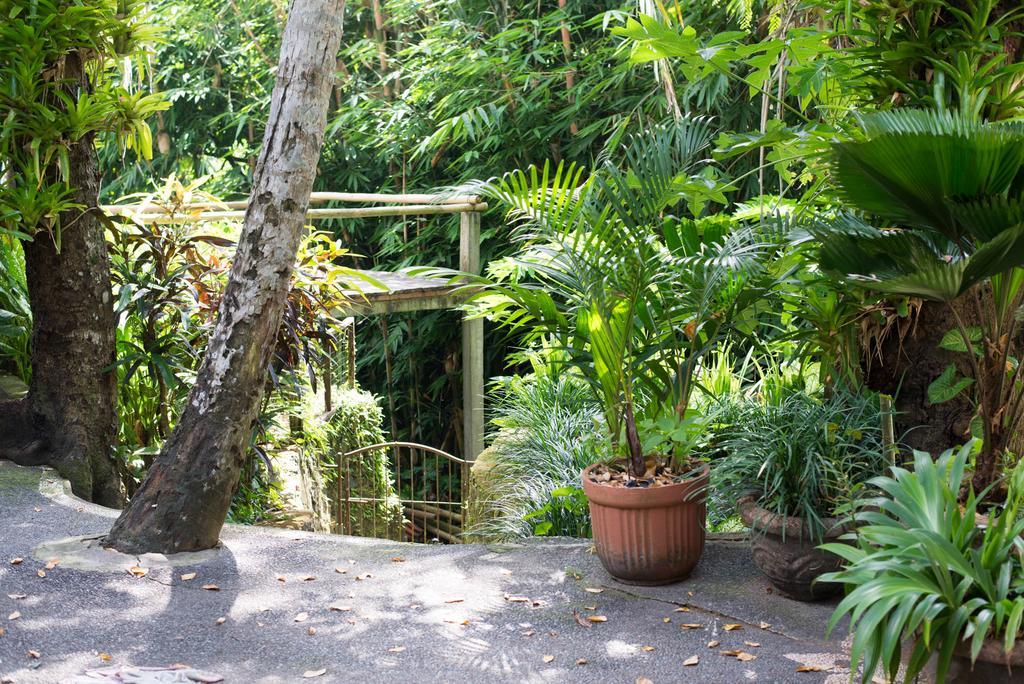 Serenity House Ubud (Bali) Exterior photo